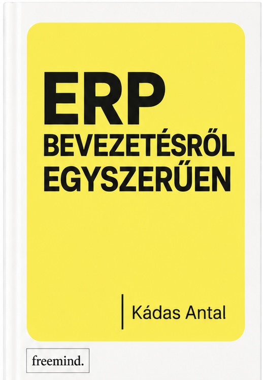 ERP bevezetésről egyszerűen